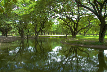Fototapeta na wymiar Sukhothai park