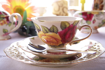 Beauty porcelain pottery