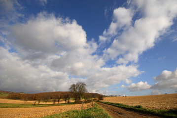 Obraz premium Chemin dans les champs