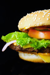 big hamburger close-up