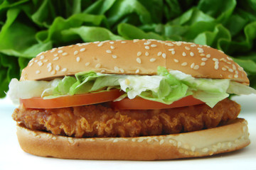 chicken sandwich