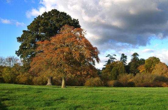 Autumn Colours