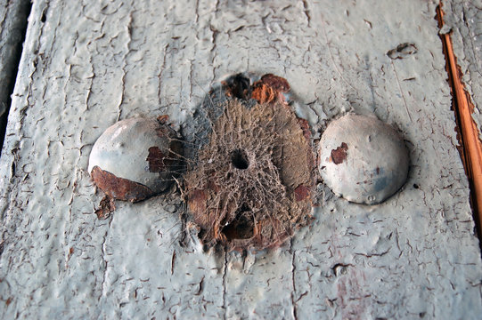 tela de ara&ntilde;a en puerta vieja