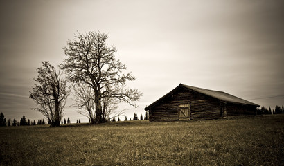 old barn