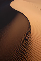 Sahara Wüste