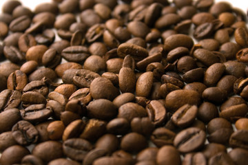 Bunch of caffee beans
