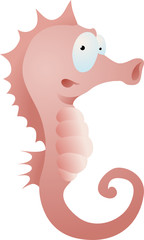 seahorse illustration