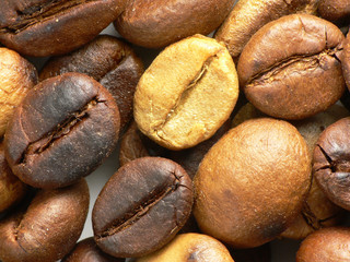 Different roasted coffe beans. Macro