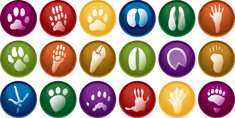 Eighteen various animal track buttons