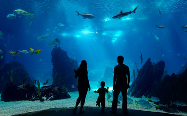 Underwater family - Powered by Adobe