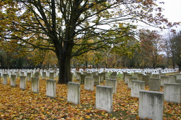 A military graveyard from the World War II period