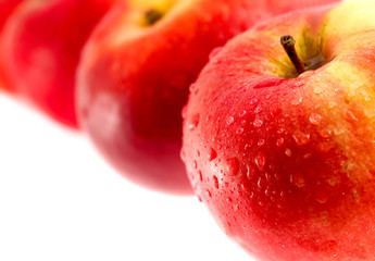 red apples with water drops