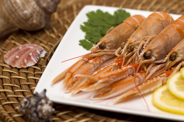 ocean delicacy shrimp on dinner
