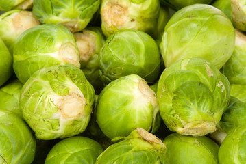 brussels sprout background