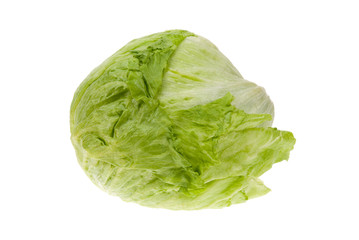 fresh lettuce