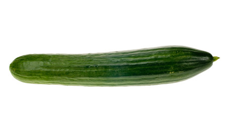 fresh cucumber