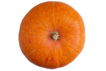 orange pumpkin on white (top view)