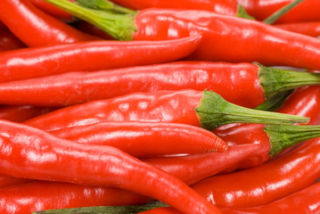 fresh red chili peppers