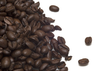 coffee beans on white background 