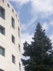 Fototapeta premium building and pine tree
