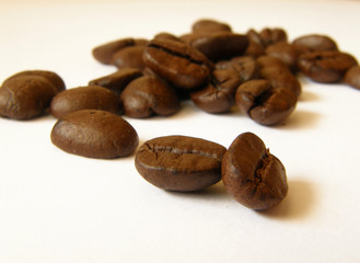 coffee beans