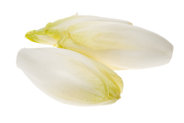 fresh endives