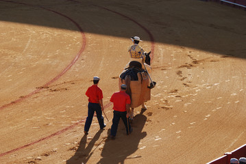 Picador in the bullfighting arena in Spain