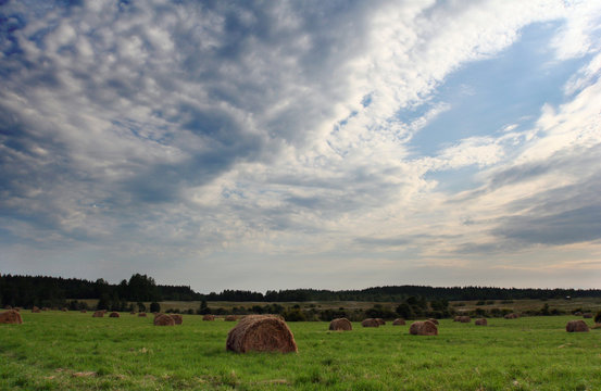 Rural landscape. Yellow bales of hay on the green field. 