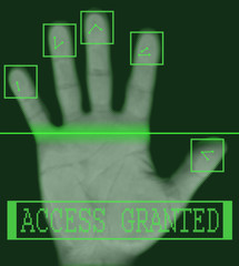 Electronic biometric fingerprint scanning