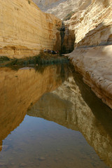 Canyon Ein Avdat, Israel