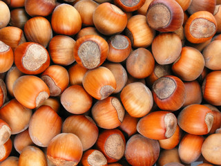 hazelnuts background