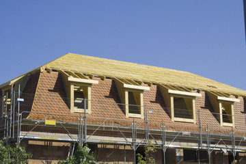 chantier J. Ribieff-59.dng