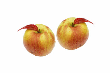 twin apples