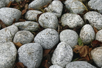 Piedras sepultando hojas