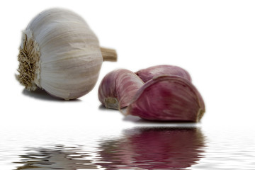 Garlic reflection