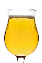 Beer glass against white background