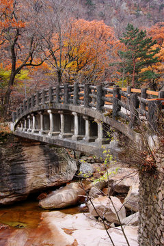 Bridge In Autumn