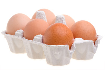 EGGS IN A CARTON