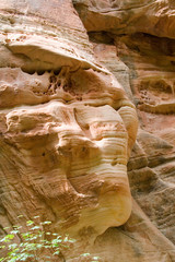 Erosion of Rock in Zion National Park