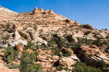 Fototapeta premium Large Rock Formation in Zion National Park