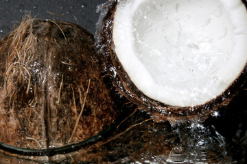 coconut