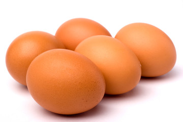 egg ,eggs