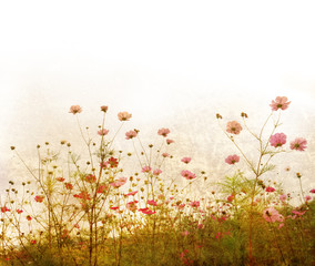 Fototapeta premium old-fashioned flower