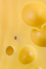 Cheese close-up