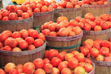 Tomatoes in baskets at a road side farm stand