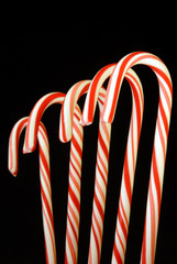 Fototapeta premium Candy Canes