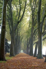 parc en automne