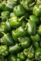 Fototapeta na wymiar Green bell peppers