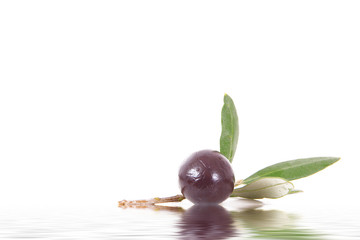 olive 89