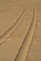 Tracks